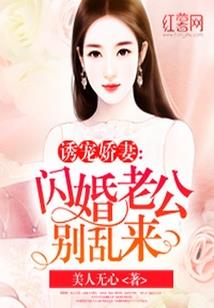 一本假的小说