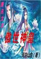 快穿游戏：这个宿主不太冷