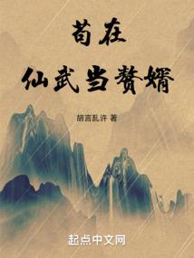 这一场——盛世烟花
