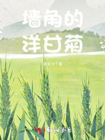 情字剑