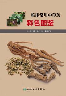 全世界都知道我爱你