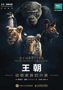 身为男主怎么能跟炮灰纠缠