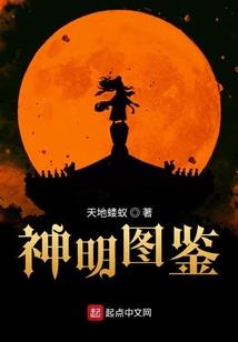 隐世符石