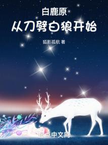 十八秒的烟花