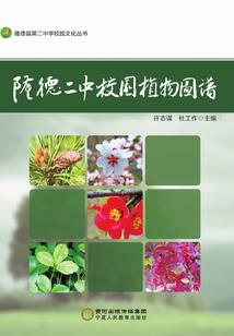 旧年相识不相忘