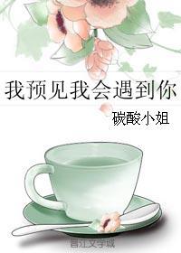 穿书之无月不圆