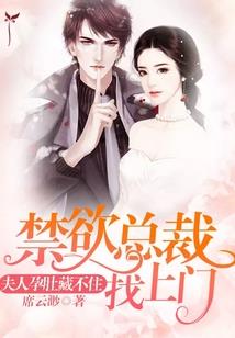 暖心王子的求爱记
