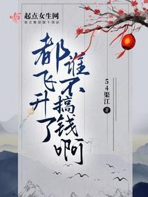 星轨十三
