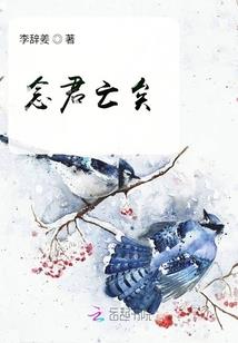 夜雨飘零