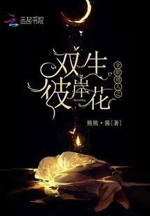 瓦洛兰不朽之魂