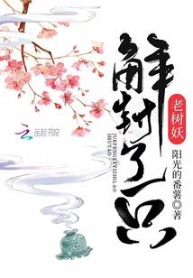 玄录真武大帝仙游集