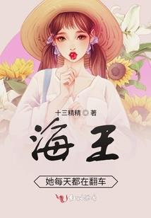 盖世龙修