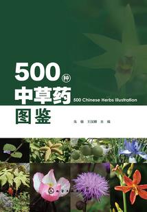 洪荒从乾坤道祖开始