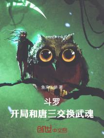 黑环系统
