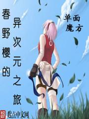 奥斯丁大陆