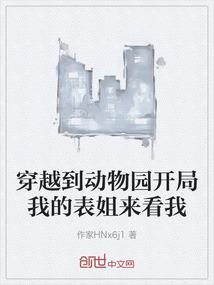 轮回手册