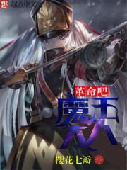 红颜刃之雪澜