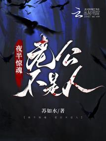 爷宠妻请有度