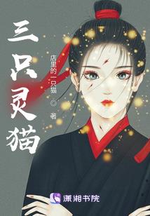 星际传说之星际传说