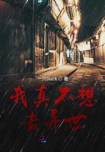 写手，才高一口
