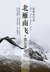 布偶神医