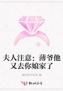 甄嬛传之深宫妖娆