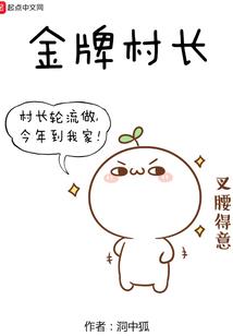 重生之民国小军嫂