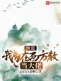 天眼少帅